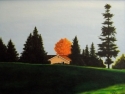 %20A%20Maple%20Among%20The%20Evergreens (thumbnail)