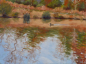 Autumn Reflections