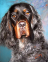 Brodie (thumbnail)