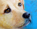 Yearning (thumbnail)