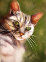 Mr.%20Kitty (thumbnail)