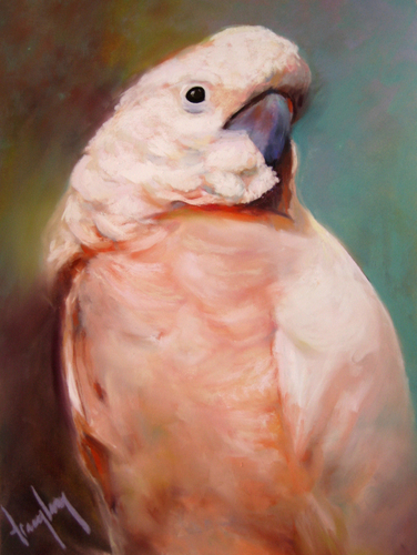 Cockatoode (large view)