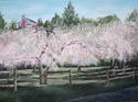 The Orchard