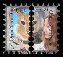 The Atitiude In A Cat's Eyes