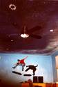 Skateboarder's Bedroom