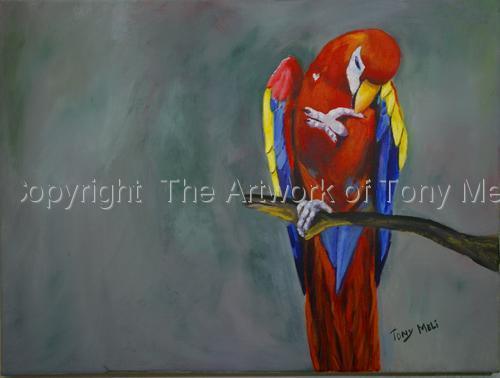 Painting-Acrylic-Macaw