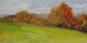 edge of the woods