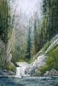 water falls in the woods