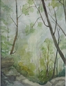 clearing in the woods