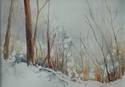snow in the woods