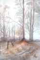 country road