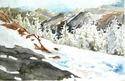 snowy hill