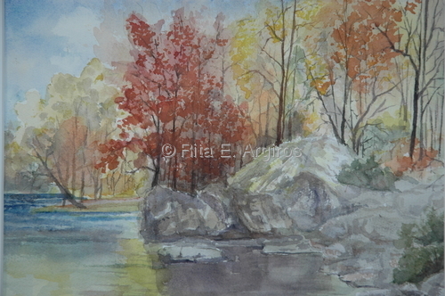 fall colors on the river bank