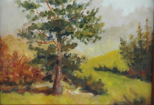 beautiful tree in the field