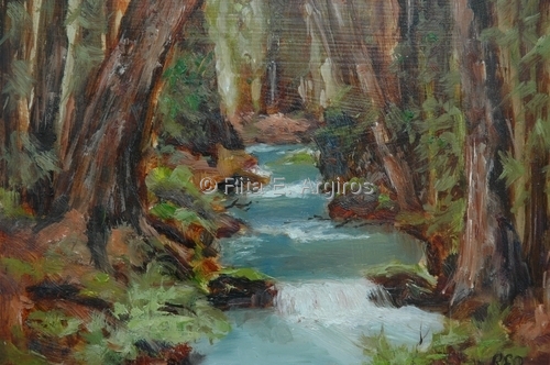 stream in the woods