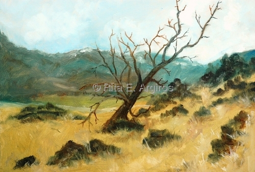 tree on a side hill