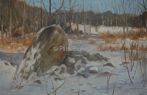 rock in the snow
