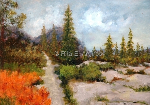 rocky path on top of mt.