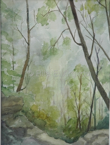 clearing in the woods