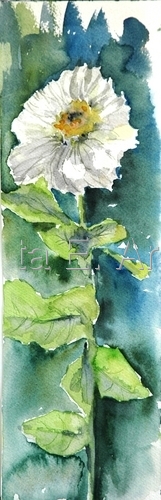 lone flower