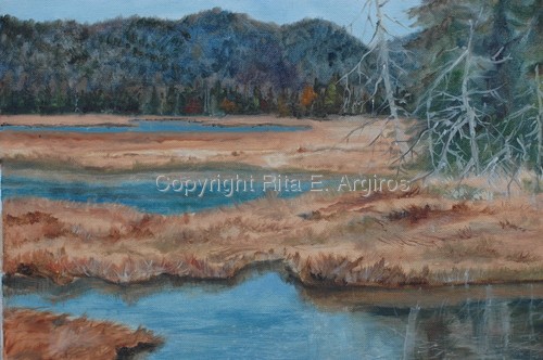marsh at Acadia national park