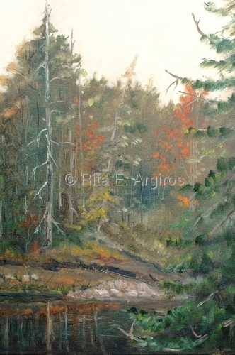 jordon pond in  acadia