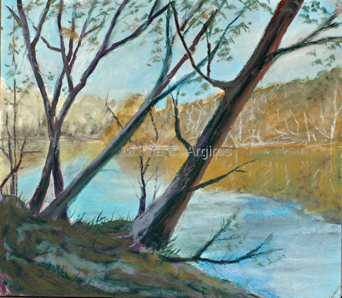 smokey mt. river bank