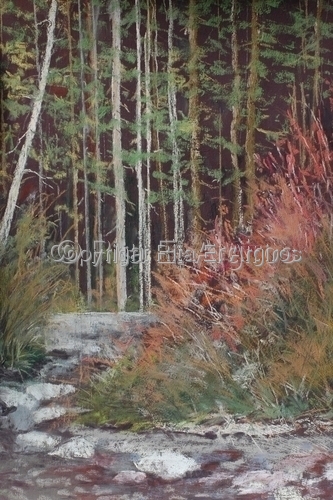 woods at jordon pond at Acadia