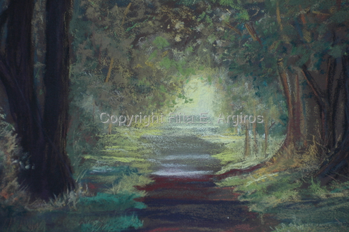 tree covered road