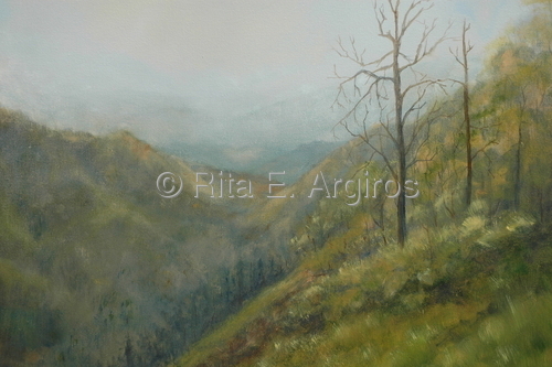 mt. view on the blue ridge parkway