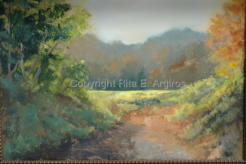 sunshine in the meadow