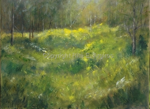 yellow flowers in the field