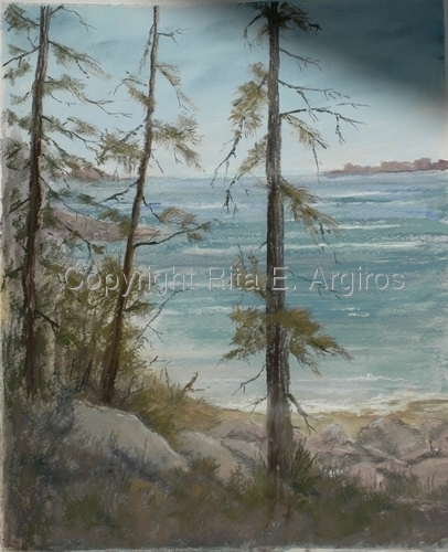 pines along the shore