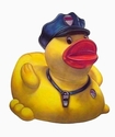 TNC Curator TNC Gallery - Untitled (CopDuck)