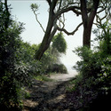 T. G. Tarnowski - Jekyll Island