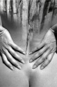 Trunk (thumbnail)