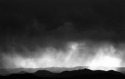 Whether%20the%20Storm (thumbnail)