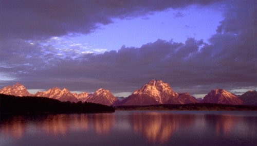 Landscapes