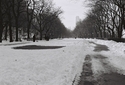 Snow%20in%20New%20York (thumbnail)