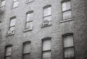 Harlem%20Windows (thumbnail)