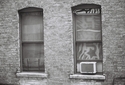 Harlem%20Windows%203 (thumbnail)
