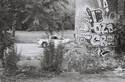 Asheville%20Graffiti%202 (thumbnail)