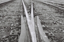 Asheville%20Train%20Track (thumbnail)