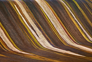 Stained (thumbnail)
