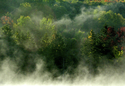 Morning%20Fire (thumbnail)