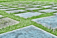 Hopscotch (thumbnail)
