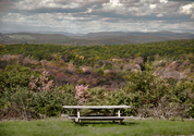 Picnic (thumbnail)