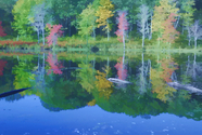 Float (thumbnail)