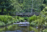 Footbridge (thumbnail)