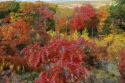 Colors (thumbnail)